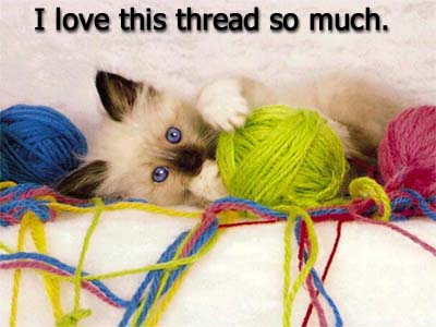 i-love-this-thread-so-much-cat-cats-kitten-kitty-pic-picture-funny-lolcat-cute-fun-lovely-photo-images.jpg