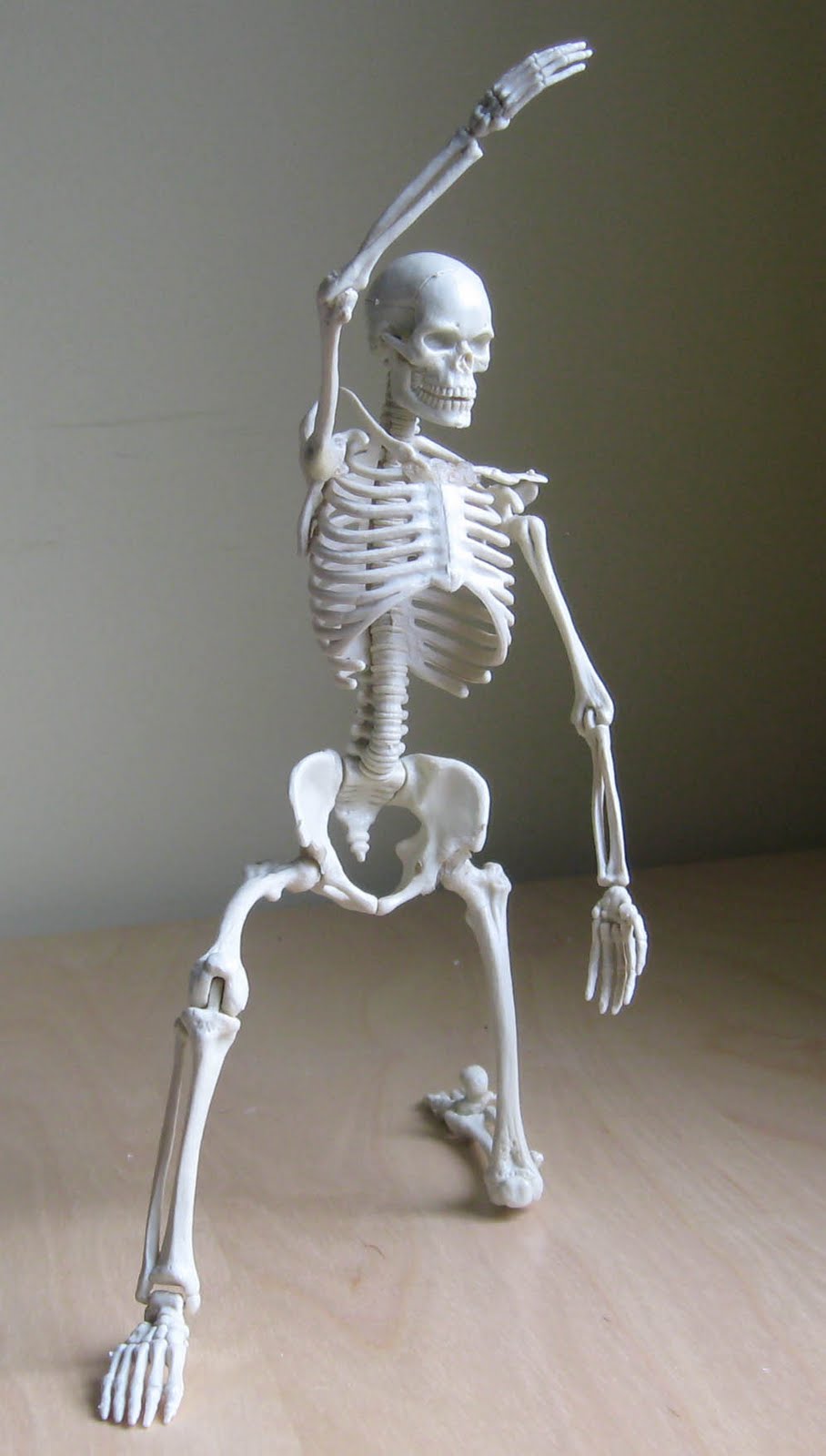 skeleton3.jpg