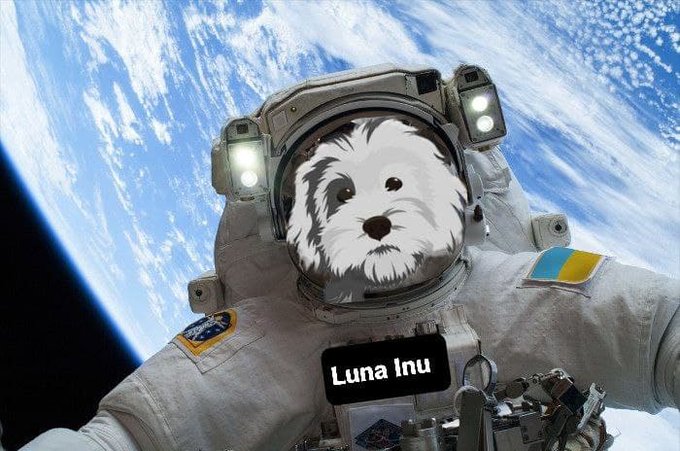Dogecoin-and-Shiba-Inu-knockoff-Jeff-Bezos-pet-inspired-Luna-Inu-surges-by-70.jpg