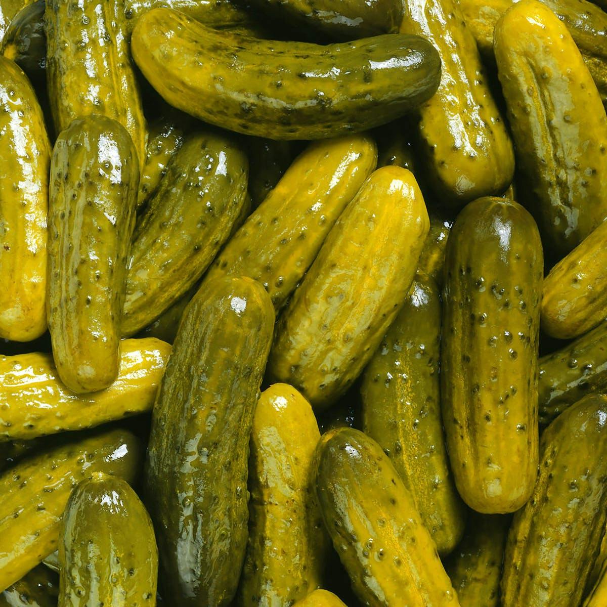 ny-sour-pickles-1-gallon.ffc0f44a0be85000ee4399f282cd751c.jpg