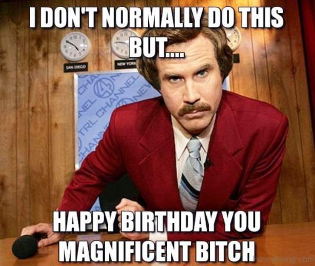 i-dont-normally-do-this-but-happy-birthday-you-magnificent-bitch-funny-memes.jpg