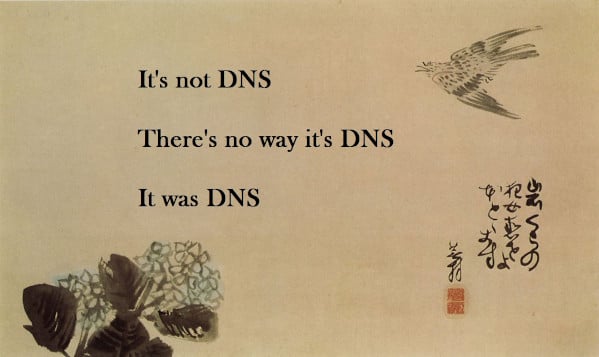 Its-not-DNS.-There-is-no-wayits-DNS.-It-was-DNS.jpeg